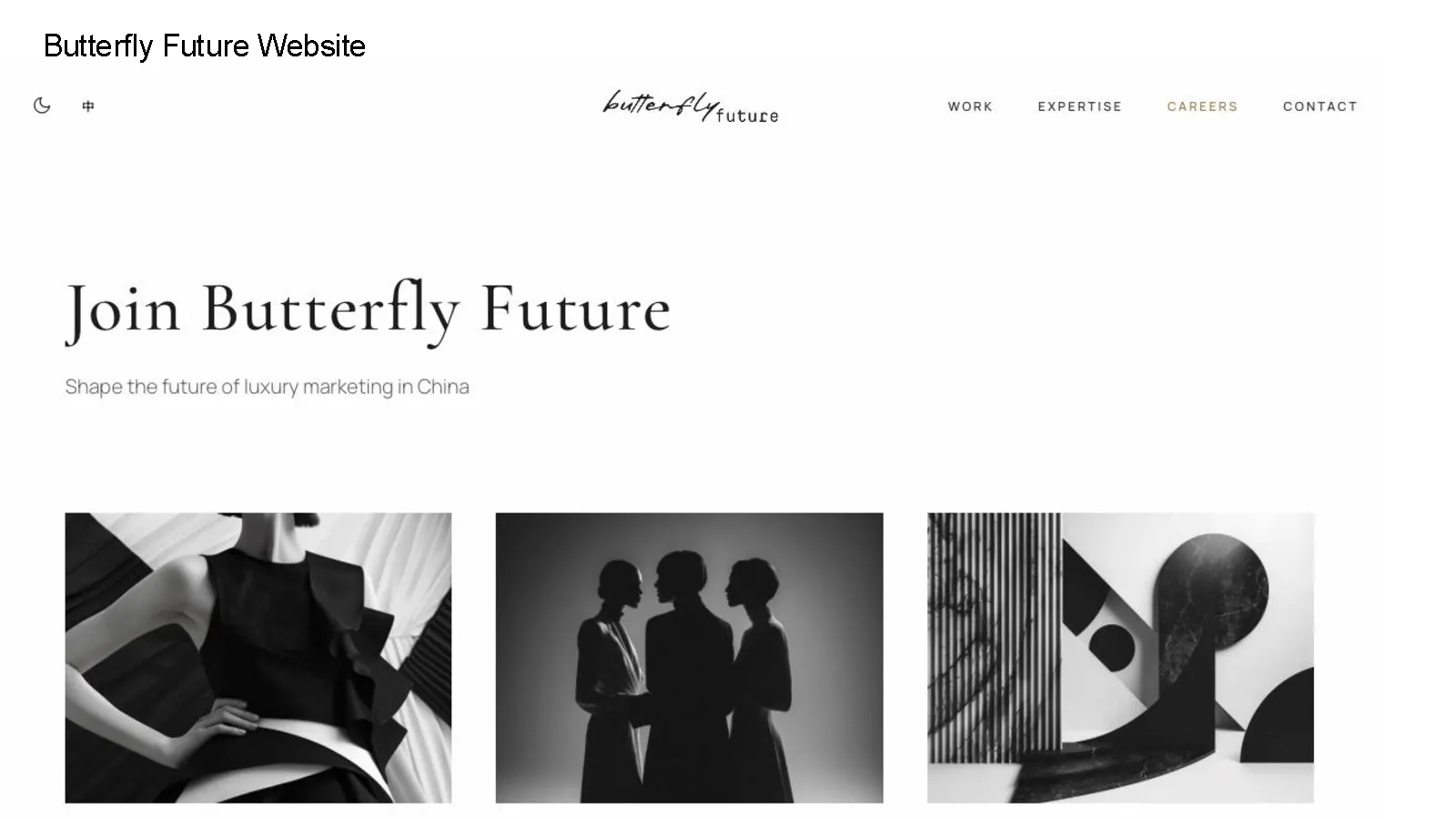 Butterfly Future — project material